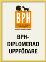 bph-diplomerad-uppfodare