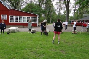 0a2187e889-1409537359573 0a2187e889-1409537359573