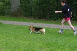 1d606747e7-1409537359566 1d606747e7-1409537359566