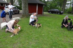 2279c8cc19-1409537359572 2279c8cc19-1409537359572