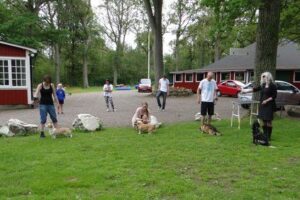 4ed957e347-1409537359574 4ed957e347-1409537359574