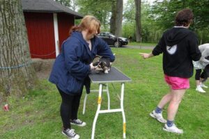 7e8d6853a4-1409537359575 7e8d6853a4-1409537359575