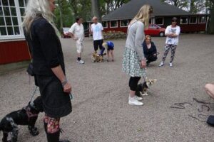 ae2a7a16b6-1409537359572 ae2a7a16b6-1409537359572