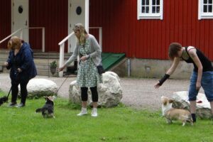 b9ce5ce7b5-1409537359571 b9ce5ce7b5-1409537359571