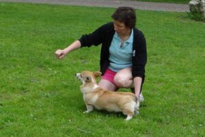 bf15a37b09-1409537359574 bf15a37b09-1409537359574