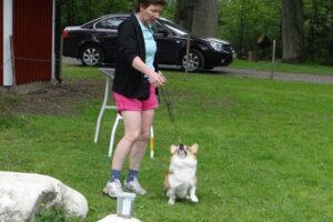 e195b0161d-1409537359573 e195b0161d-1409537359573